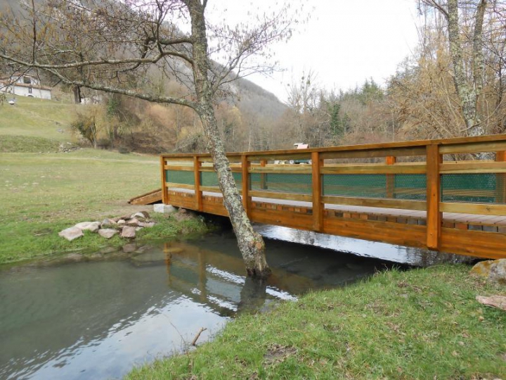 Passerelle bois Pontet